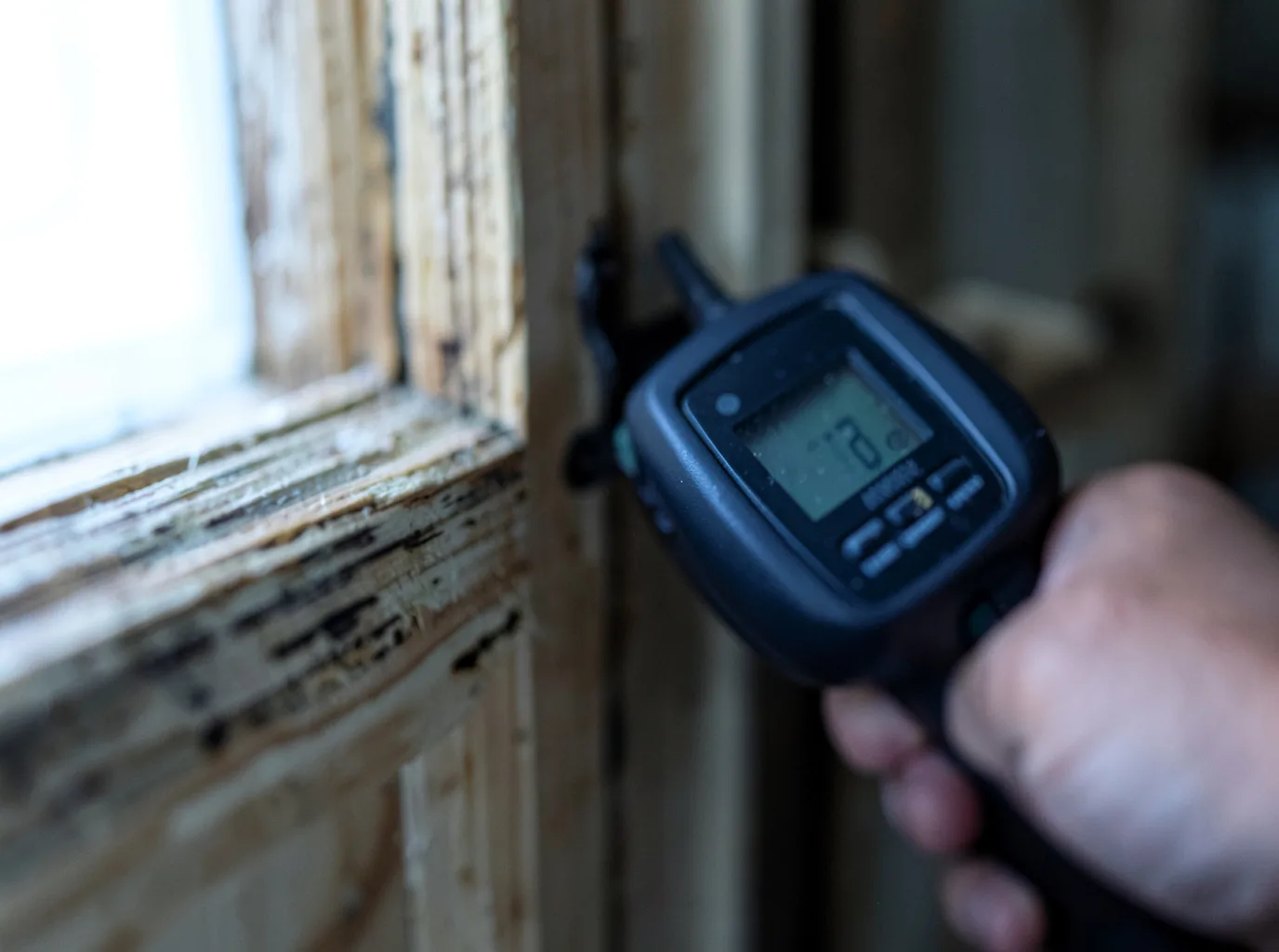 Moisture Inspection And Documentation in Clare, MI